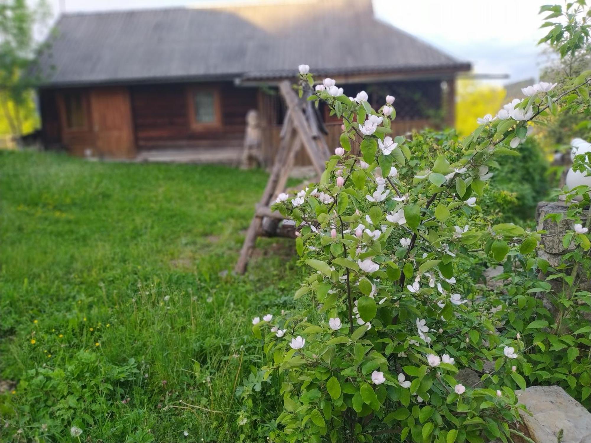 Starovitska Hata - Ethno-Cottage Verkhovyna Exterior foto