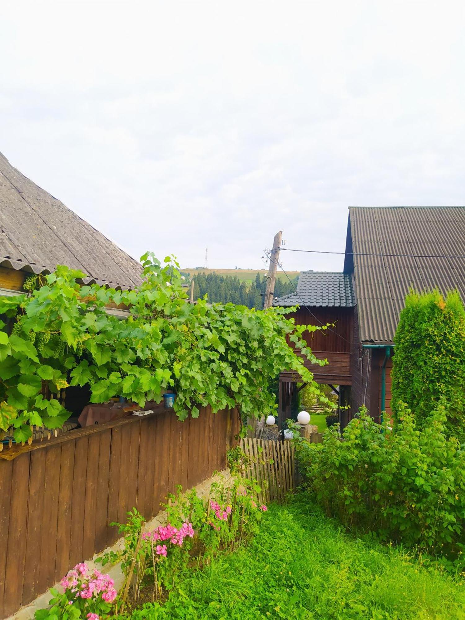Starovitska Hata - Ethno-Cottage Verkhovyna Exterior foto