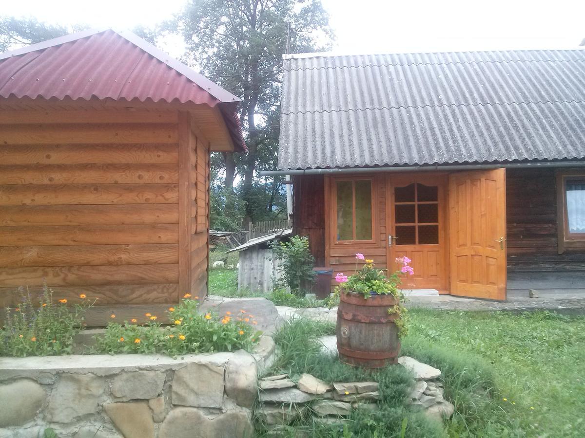 Starovitska Hata - Ethno-Cottage Verkhovyna Exterior foto